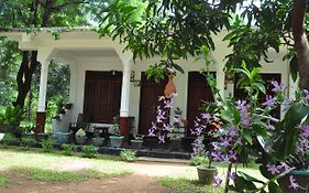 Sigiriya Flower Guest